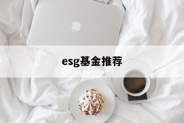 esg基金推荐(esg基金怎么样)