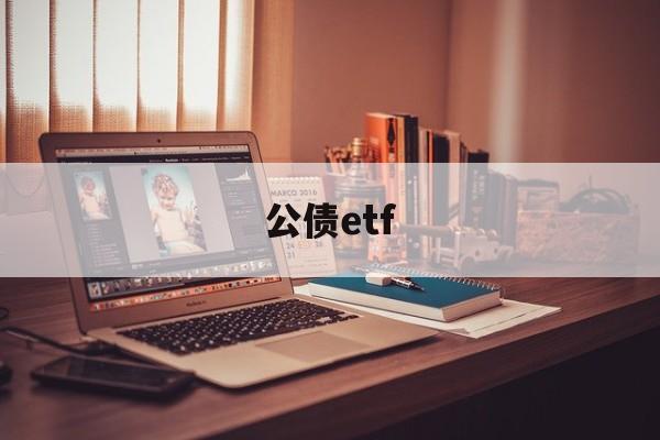 公债etf(公债和国债的区别)